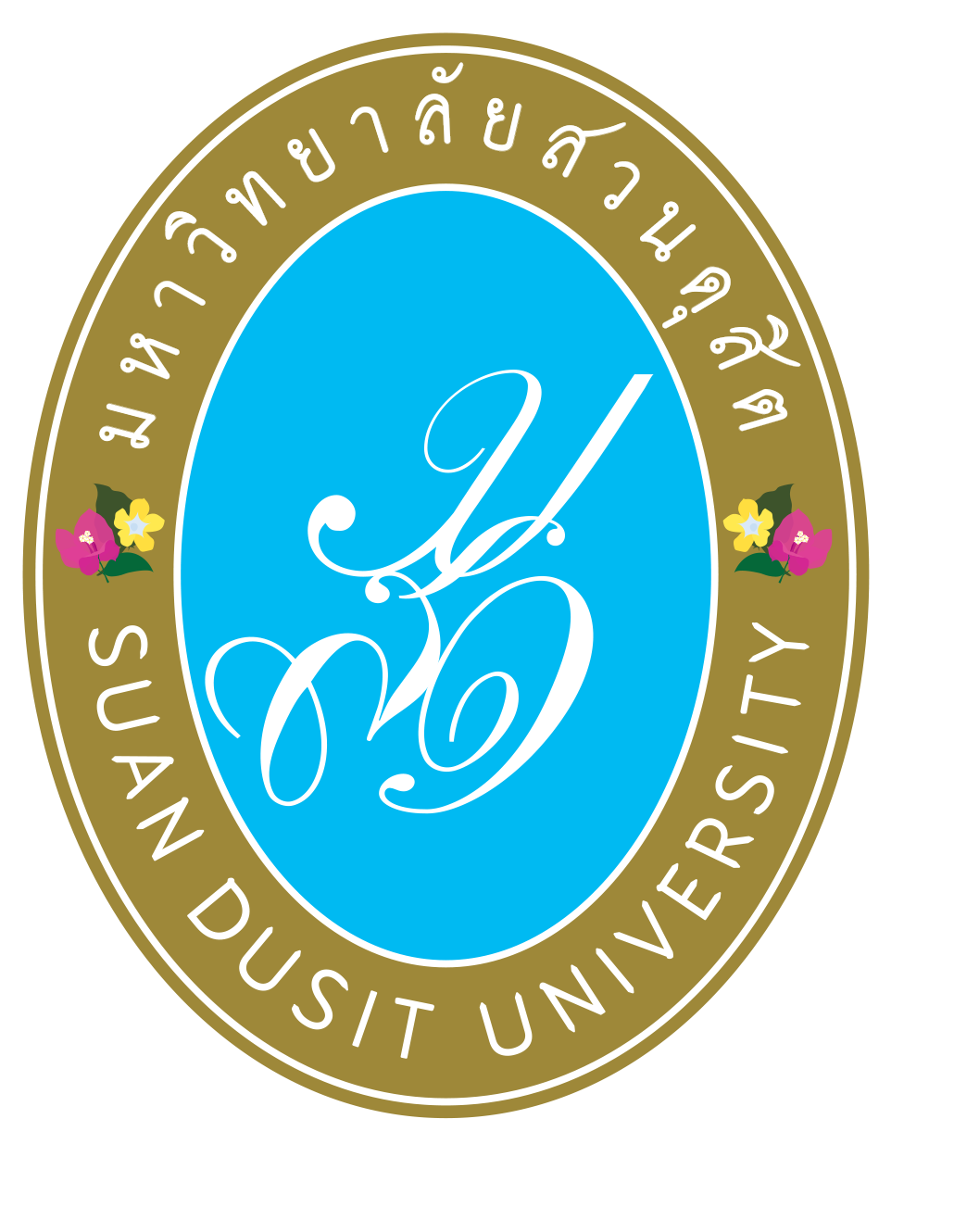 SDU Logo
